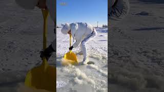 This girl catches fish from inside the tent