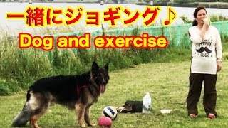 シェパード犬マックとジョキング♪一緒に運動楽しいね Dog and exercise