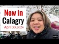Now In Calgary | Spring Seasons In Canada | Sarah Buyucan