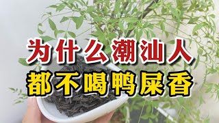 为什么潮汕人都不喝鸭屎香，偏偏钟爱蜜兰香呢？到底有什么内幕？