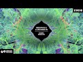 Redspace, Lluis Ribalta - Vashitva (Original Mix)   [Univack]