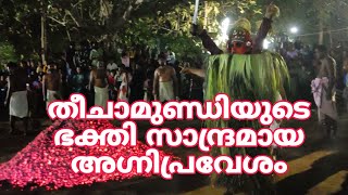 ഒറ്റക്കോലത്തിൻ്റെ അഗ്നി പ്രവേശം | രാമന്തളി ശ്രീ കുറുവന്തട്ട കഴകം മുണ്ട്യക്കാവ് കളിയാട്ടം