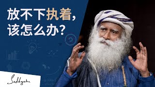 放不下执着，该怎么办？| Sadhguru 萨古鲁