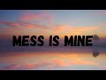 Vance Joy - Mess is Mine Lyrics (Official)