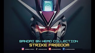 Bandai BN Head Collection  Vol. 2 Strike Freedom Review!!