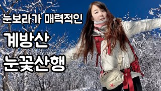 등산8년차 겨울산중에 최고! 눈보라가 매력적인 계방산 눈꽃산행 운두령코스