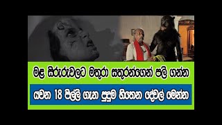 මළ සිරුරුවලට මතුරා සතුරන්ගෙන් පලි ගන්න යවන 18 පිල්ලි ගැන ඔබ නොදත් දේ මෙන්න - 18 Pilli