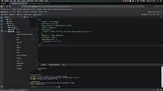 Full Stack Web Developer Course: 9_4 - Using npm init