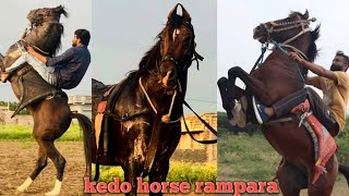 kedo horse rampara part 3 #kathiyawadi #video #fuleku