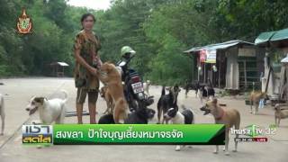 สงขลา ป้าใจบุญเลี้ยงหมาจรจัด | 22-07-59 | เช้าข่าวชัดโซเชียล | ThairathTV