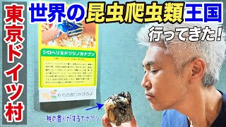 東京ドイツ村　世界の昆虫爬虫類王国