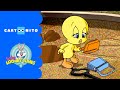 Baby Looney Tunes | Scavenger Hunt | Cartoonito