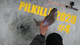 Rainbow trout ice fishing | Iso-Valkeinen Kuopio, Finland