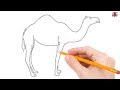 How to Draw a Camel Step by Step Easy for Beginners/Kids – Simple Camels Drawing Tutorial