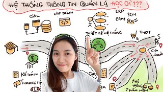 Lộ trình học ngành Hệ Thống Thông Tin Quản Lý? Những Môn quan trọng nhất? | Chuyện của BA