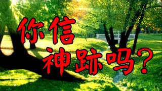 你信神迹吗？- 罗保芳姐妹见证