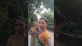 My Wife shorts viral video l #santobaba #funny #harishankarvlog #railwayline #song