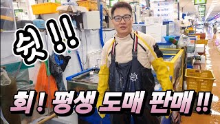 노량진 수산 어시장 찾았다! 횟감 도매 구매 방법? 진짜 이가격 가능? 당일 경매 직거래! 긴급 공개. korean fish market channel