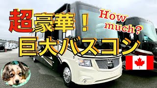 【キャンピングカー紹介】バスコン、大型バスタイプのキャンピングカー、超豪華内装（運転席、シャワールーム、トイレ、リビング＆ダイニング）と外装を紹介。