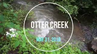 Otter Creek Alberto