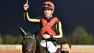 【有馬記念】シャフリヤール　C・デムーロ騎手「この馬で挑戦できることを誇りに思います」