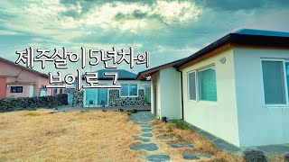 새해를 맞이해서 5년차 제주살이 브이로그 담기 l feat 어린왕자감귤밭