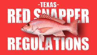 Legal Red Snapper Limit | Texas Fishing Regulations 2022