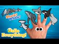 Sea Animals Finger Family | Whale or Shark? | Kids Songs and Nursery Rhymes