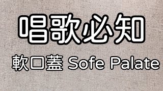 軟口蓋/軟顎 Soft Palate – 何芸娜 Una Ho