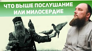 Что выше послушание или милосердие? Священник Максим Каскун