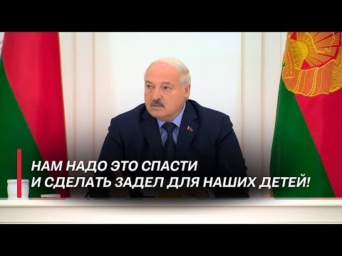 Лукашенко – правительству: Вы показухой занимаетесь! Почему Беларусь колет глаза Западу Пустовой