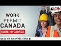 ਕੈਨੇਡਾ ਵੱਲੋ ਰਾਤੋ ਰਾਤ ਵੱਡੇ ਬਦਲਾਅ work visa canada canada work visa 2024 dollar media