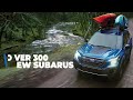 premier subaru has over 300 new subarus in stock