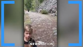 Bear stalks family on hike | NewsNation Prime