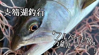 【支笏湖釣行】ブラウントラウト　フルベイト75   万能ルアー！！