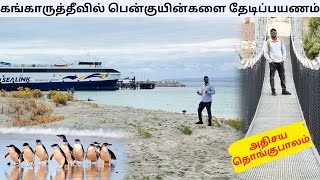 கங்காருத்தீவில் எதிர்பாராத இறுதி நாள் நிகழ்வுகள் | அழகிய Penneshaw நகரம் | மகிழன் - Mahilan