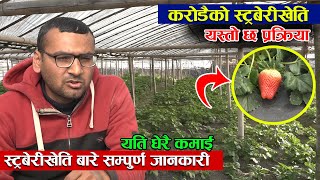 स्ट्रबेरीबाट नसोचेको कमाई || Strawberry Farming In Nepal 2021 | Jankari Kendra | Agriculture Update