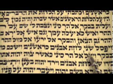 Passover Pesach Torah Reading Shabbat Chol Hamoed Rabbi Weisblum קריאת ...