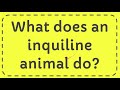 What does an inquiline animal do?