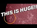 THIS IS HUGE‼️Possible Carrington Replica Sunspot Region