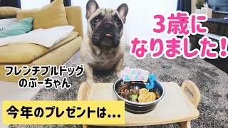 3歳になりました。今年のプレゼントは..フレンチブルドッグのぶーちゃん【french bulldog】