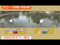 ソニー ハンディカム hdr pj540 カメラのキタムラ動画_sony