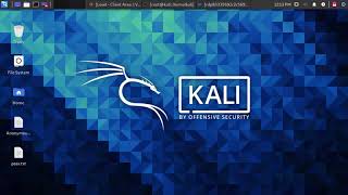 How to connect anonymous remote desktop rdp on Kali Linux using remmina