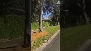 Valrico Vehicle Theft Suspect Arrested After Fleeing From Deputies