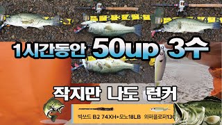 배스 낚시- 탑워터에 텅텅 때려주는 배스/ 1시간 만에 런커 3수