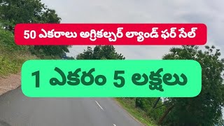 50 ఎకరాలు 1 ఎకరం 5 లక్షలు అగ్రికల్చర్ ల్యాండ్ ఫర్ సేల్ please subscribe 🙏 8897702061