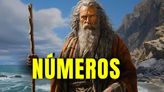 LIVRO DE NÚMEROS COMPLETO | Bíblia Online