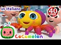 Il piccolo ragnetto | CoComelon Italiano - Canzoni per Bambini