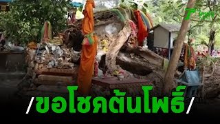 แห่กราบไหว้เจ้าแม่เกล็ดแก้ว โคนต้นโพธิ์อาถรรพ์ | 27-01-63 | ตะลอนข่าว