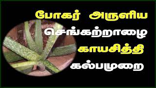 போகர் அருளிய செங்கற்றாழை காயசித்தி கல்பமுறை | Benefits of aloe vera in tamil | மாதவிடாய் பிரச்சனை ||